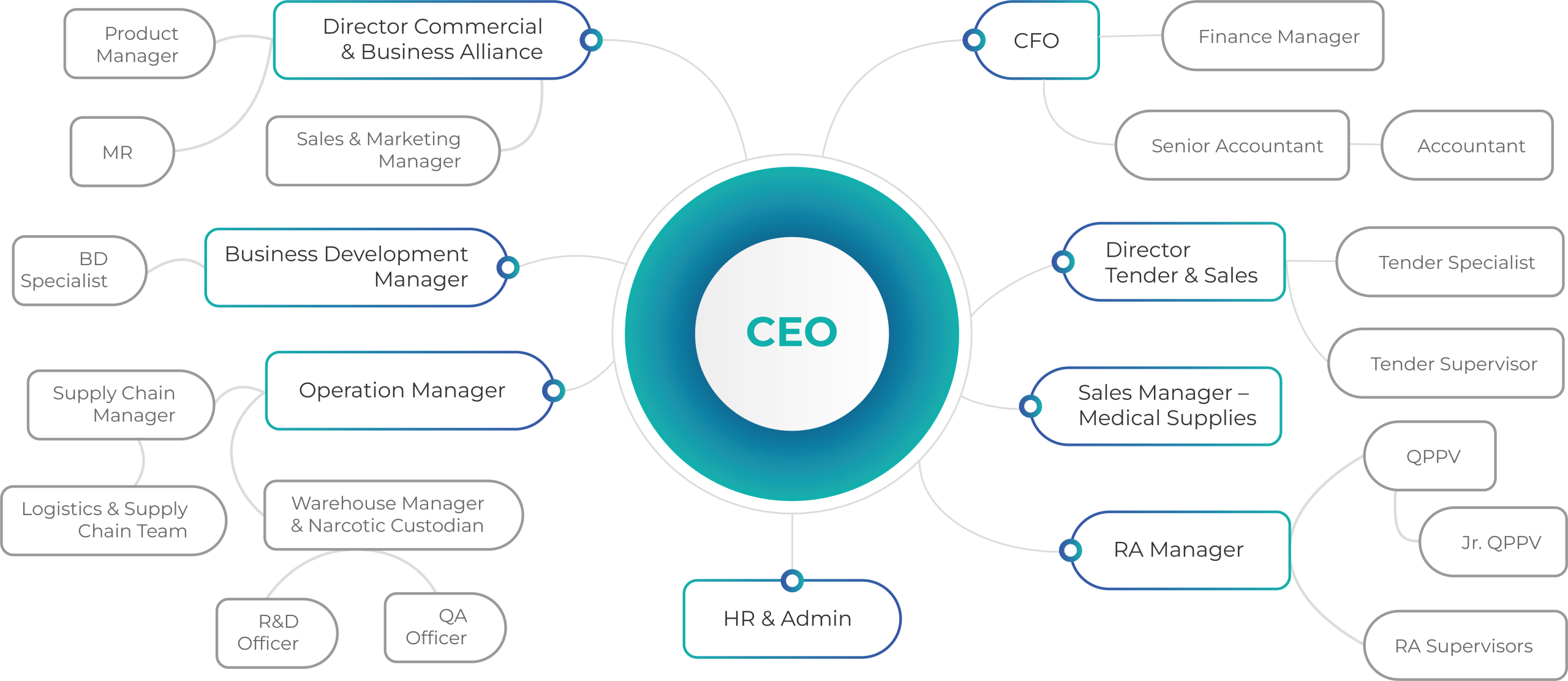 Team Structure